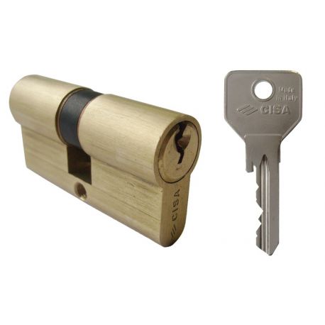 Profilé européen C2000 2 entrées type CISA